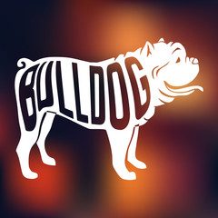 Creative dog silhouette