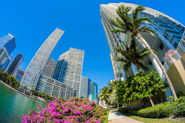 Fototapeta premium Downtown Miami
