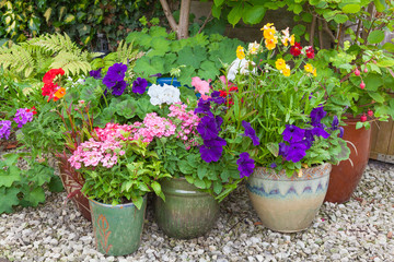 Fototapeta na wymiar Colorful potted plants in garden corner.