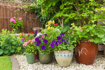 Fototapeta na wymiar Colorful potted plants in garden corner.