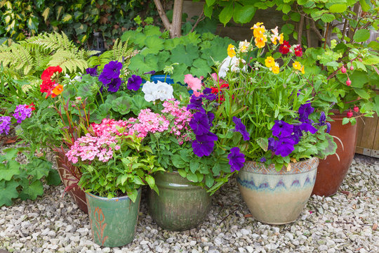 Colorful potted plants in garden corner.