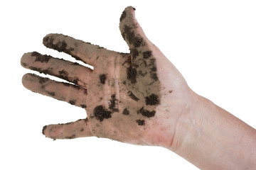 Hand of the  farm laborer