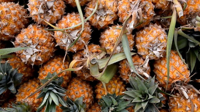 Pineapple or Ripe pineapple, Pile of Organic Pineapple at the market