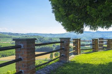 Langhe springtime panorama. Color image