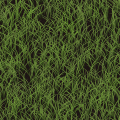 Grass generated seamless texture