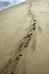 Footprints