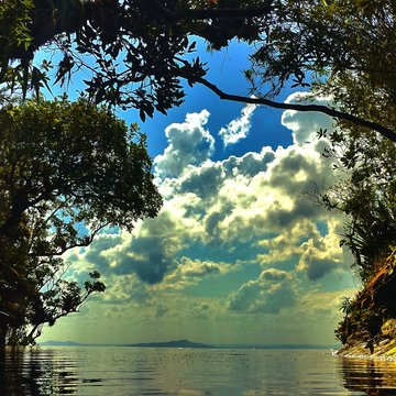 Janela do C&eacute;u , Brasil