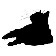 Cat Silhouette