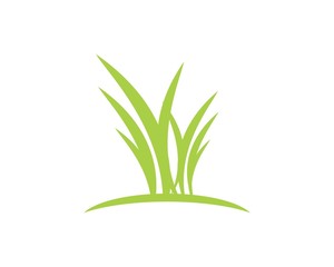 Fototapeta na wymiar Grass / Lawn Logo