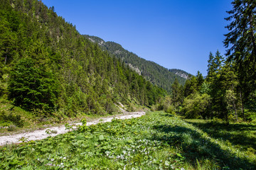 Alpen in Tirol