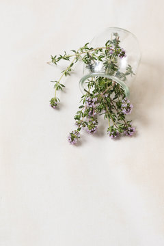 thyme