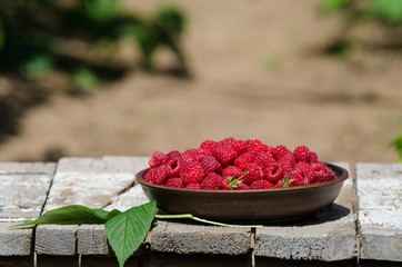 fresh ripe raspberries in clay plate