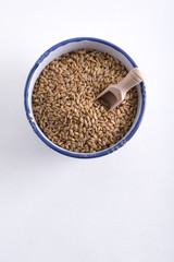 Einkorn