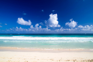 tropical sea