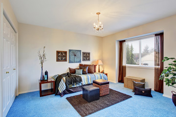 Georgous living room with bright blue carpet.