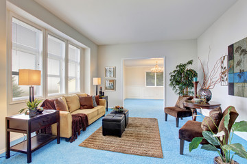 Georgous living room with bright blue carpet.