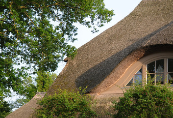 Reetdach