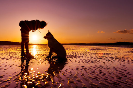 Hipster girl playing with dog at a beach during sunset, silhouettes with vibrant colors
