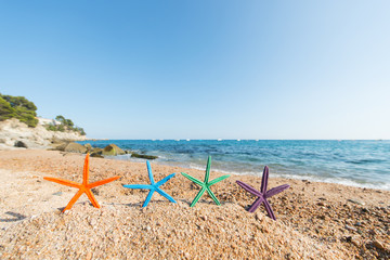 Fototapeta na wymiar Starfishes at the beach