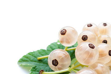 Weiße Johannisbeere Rispe mir Blatt