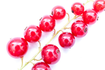 Rote Johannisbeeren Rispe mit Blatt