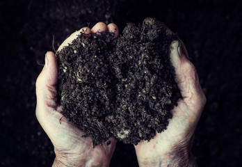 Old woman hands holding fresh soil. Symbol of spring and ecology concept