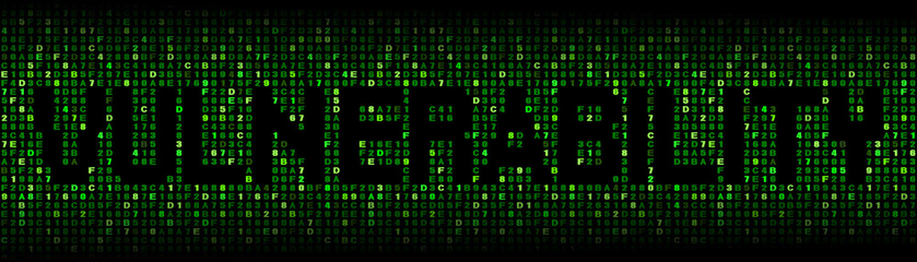 Fototapeta premium Vulnerability text on hex code illustration