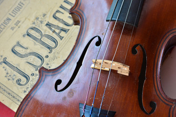 German ancient violin and notes.