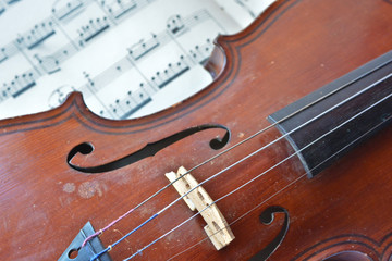 Naklejka premium German ancient violin and notes.