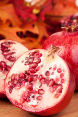 Pomegranate Half – A fresh pomegranate, cut in half to show seeds (arils). Autumn leaves in background.