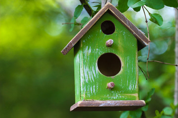Green birdhouse hanging from tree