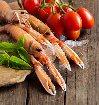 Raw langoustine on ice with tomatoes and basil