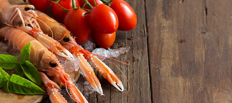 Raw langoustine on ice with tomatoes and basil