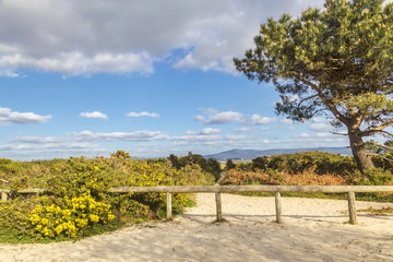 Fence to protect the coastal dunes