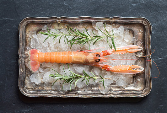 Raw langoustine and rosemary on ice