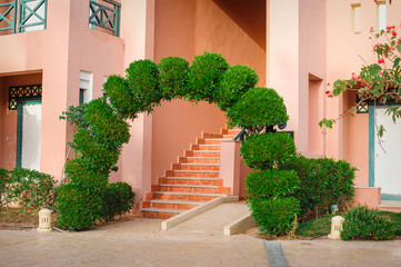 Fototapeta na wymiar beautiful green arch with decorative tree