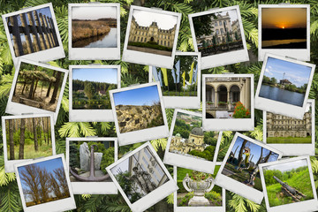 Fototapeta na wymiar Mosaic collage mix travel with pictures of different places, landscapes and objects shot by myself on young shoots of pine tree background