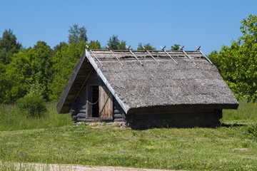 The ancient house in the Museum of Folk Architecture and Rural L