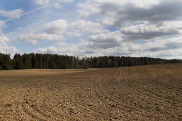 Plowed field on forest background