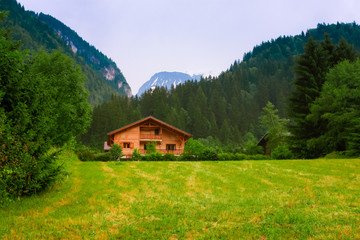Fototapeta premium village house in green meadow in France Alps, Chamonix