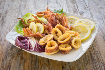 Calamari fritti, deep fried squid, Italian Cuisine