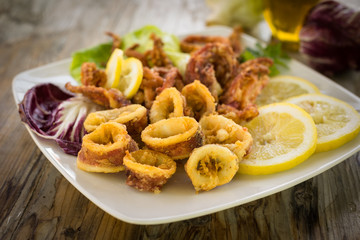 Calamari fritti, deep fried squid, Italian Cuisine
