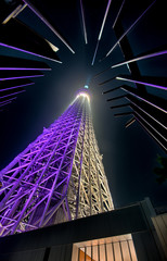 Fototapeta na wymiar Tokyo Tower at Night