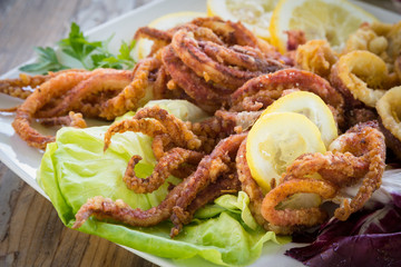 Calamari fritti, deep fried squid, Italian Cuisine