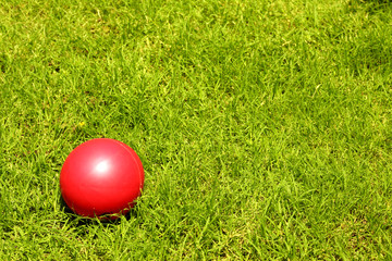 Red ball on the green grass