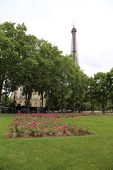 Obraz premium eiffel tower in paris,france