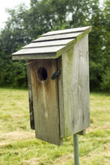 Bluebird House Out In A Pasture