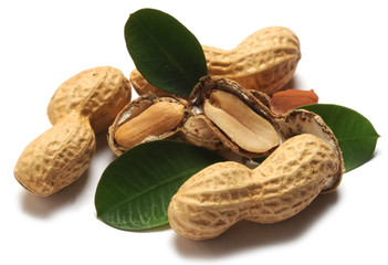 Peanut oil Aceite de cacahuete Olio di semi di arachide Erdnussöl Huile d'arachide Jordnötsolja 