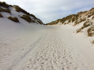 Sand dunes