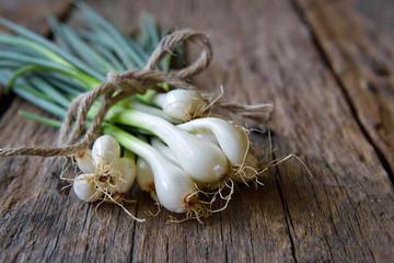 Pile of fresh spring onion on table